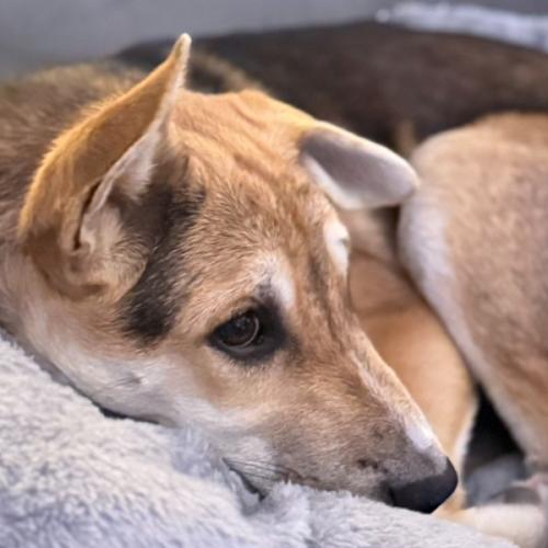 นอกเฟรม