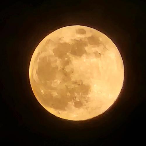 สมาชิกหมายเลข 9157761