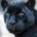 สมาชิกหมายเลข 4123761