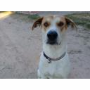 สมาชิกหมายเลข 4333959