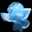 สมาชิกหมายเลข 4334105