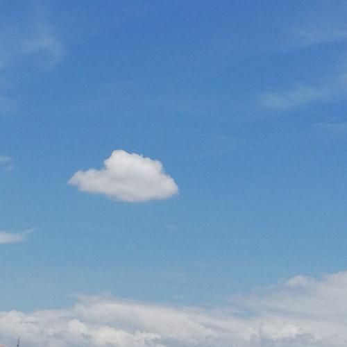 สมาชิกหมายเลข 1471411