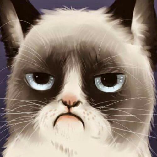 สมาชิกหมายเลข 4704638