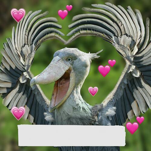 สมาชิกหมายเลข 5073522