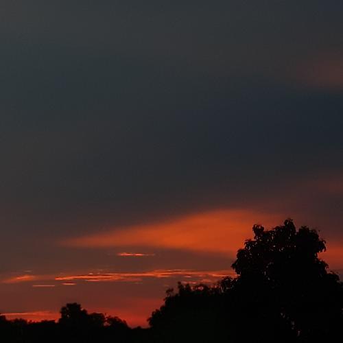 สมาชิกหมายเลข 4452809