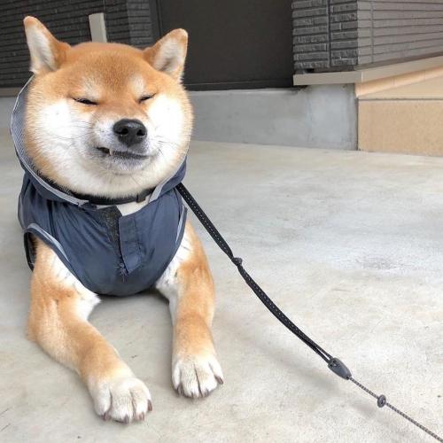 สมาชิกหมายเลข 5938856