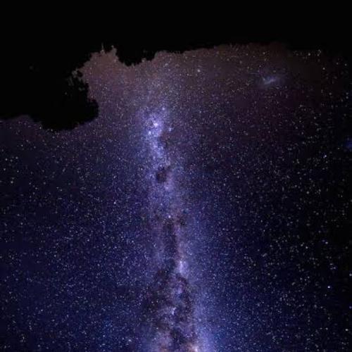 สมาชิกหมายเลข 5982854