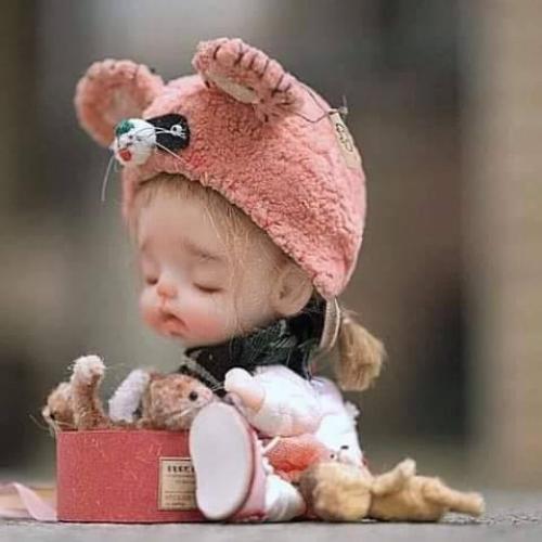 สมาชิกหมายเลข 6603507