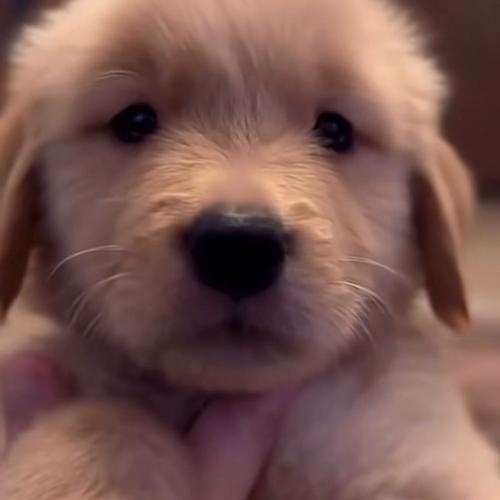 สมาชิกหมายเลข 8211053