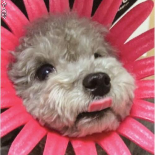 สมาชิกหมายเลข 1263112