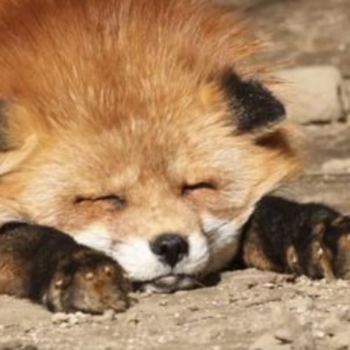 สมาชิกหมายเลข 7587013