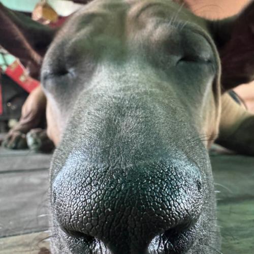 สมาชิกหมายเลข 9218305