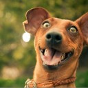 สมาชิกหมายเลข 2708792