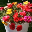 สมาชิกหมายเลข 3863494