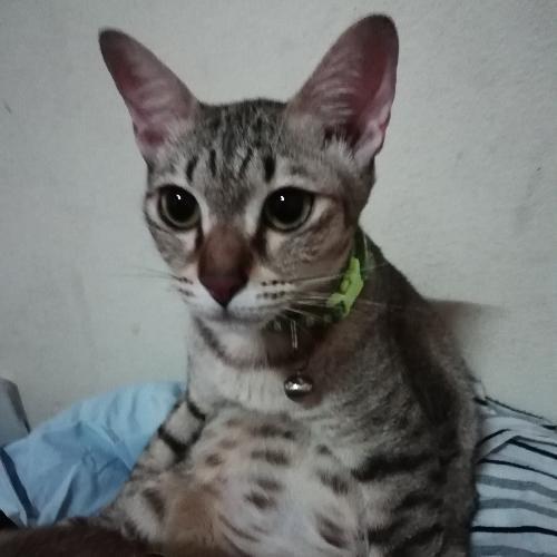 สมาชิกหมายเลข 3198986