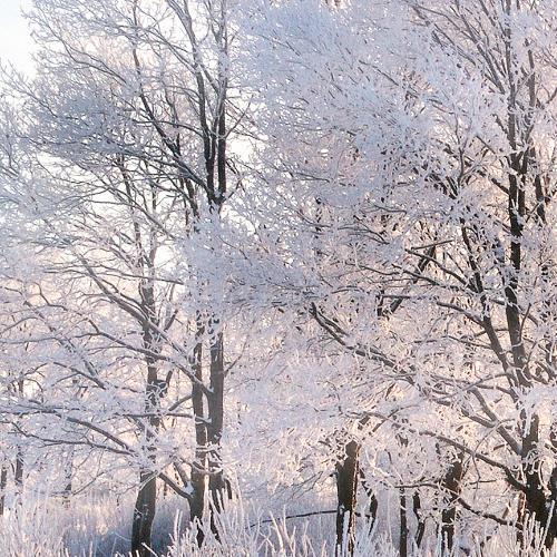 สมาชิกหมายเลข 4489030