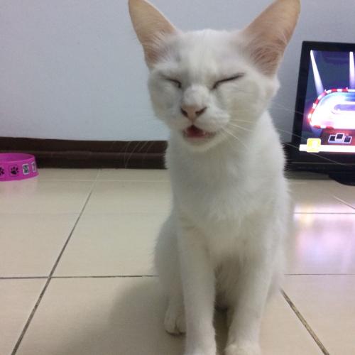 สมาชิกหมายเลข 5073527