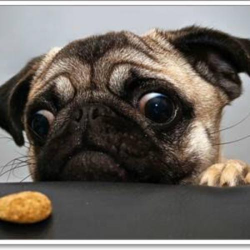 สมาชิกหมายเลข 1412924