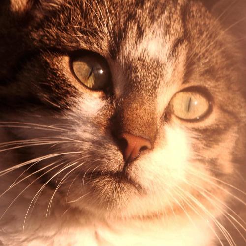 สมาชิกหมายเลข 5992619