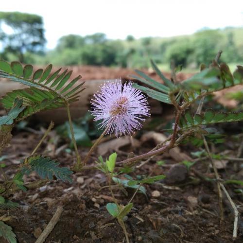 สมาชิกหมายเลข 5992883