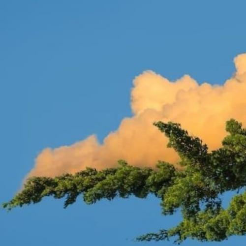 สมาชิกหมายเลข 5940492