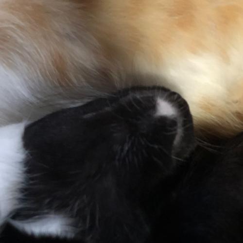 สมาชิกหมายเลข 968142