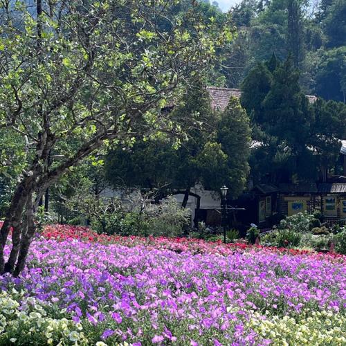 สมาชิกหมายเลข 8137861