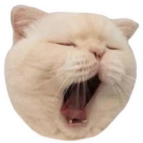 สมาชิกหมายเลข 7833236