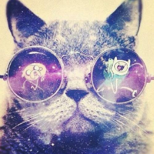 สมาชิกหมายเลข 9178123