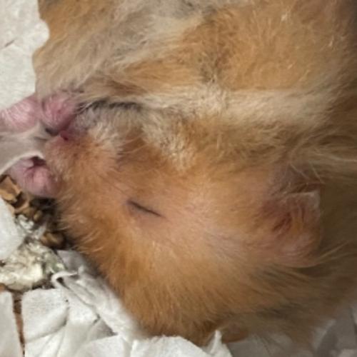 สมาชิกหมายเลข 9219701