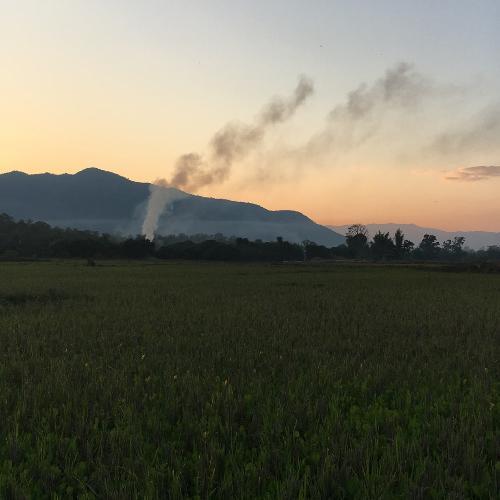 สมาชิกหมายเลข 4705313