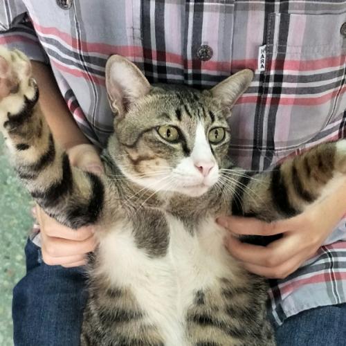 สมาชิกหมายเลข 2290249