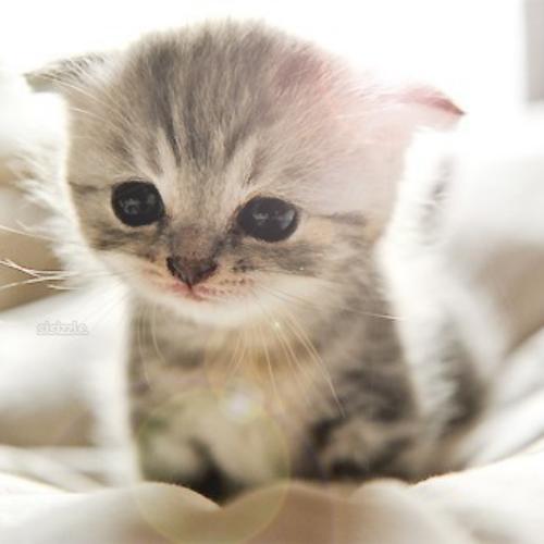 สมาชิกหมายเลข 5467591