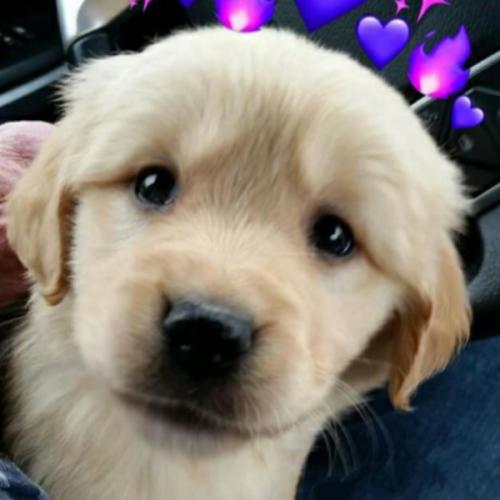 สมาชิกหมายเลข 5467792