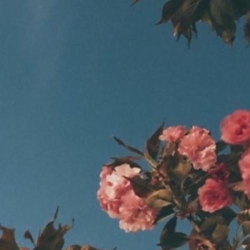 สมาชิกหมายเลข 4763504