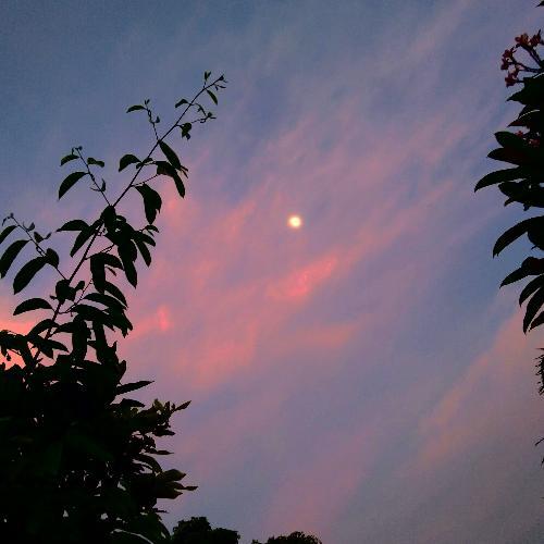 สมาชิกหมายเลข 6586623