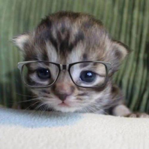 สมาชิกหมายเลข 9220560