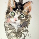 สมาชิกหมายเลข 3329342