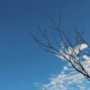 สมาชิกหมายเลข 4259592