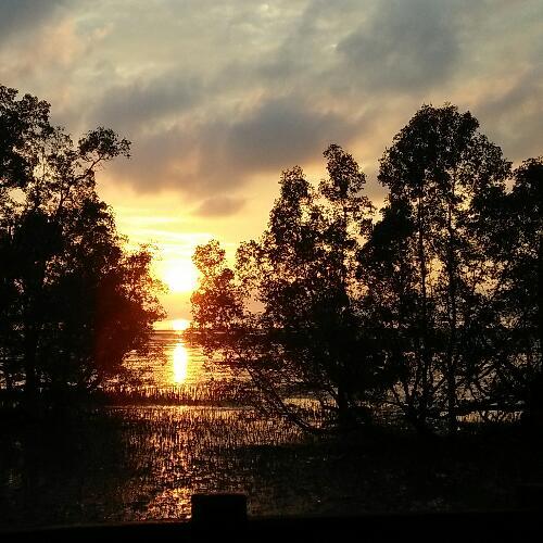 สมาชิกหมายเลข 4335322