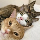 สมาชิกหมายเลข 3665449