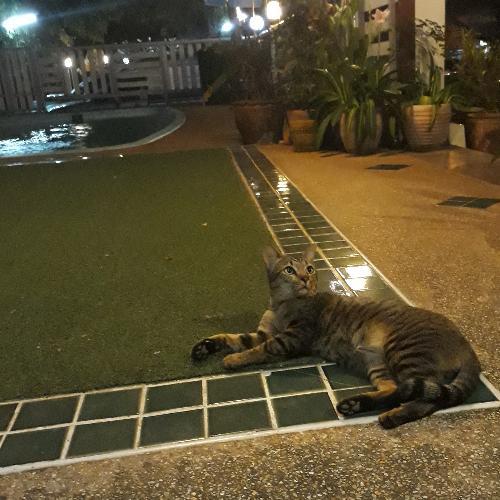 สมาชิกหมายเลข 5749095