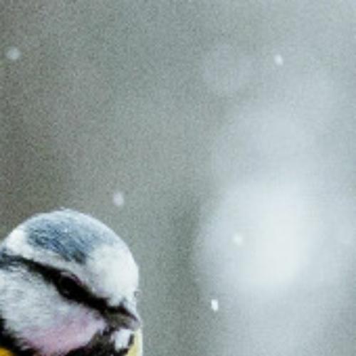 สมาชิกหมายเลข 5991845