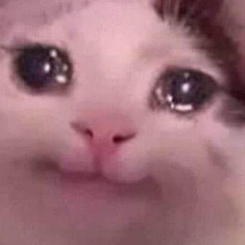 สมาชิกหมายเลข 5994108