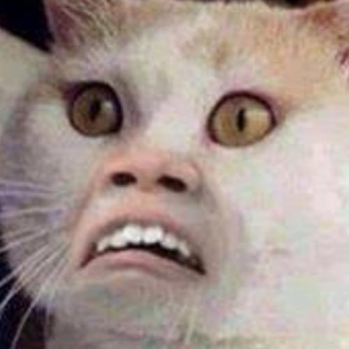 สมาชิกหมายเลข 5994112