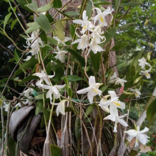 สมาชิกหมายเลข 5994166