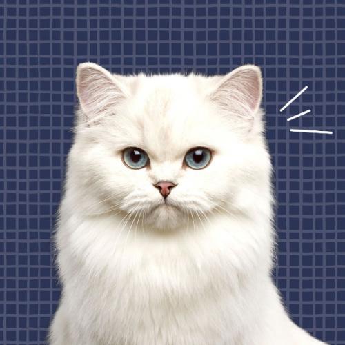 สมาชิกหมายเลข 2975635