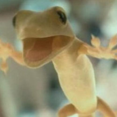 สมาชิกหมายเลข 4833473