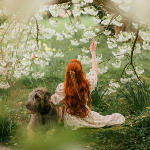 สมาชิกหมายเลข 7005868