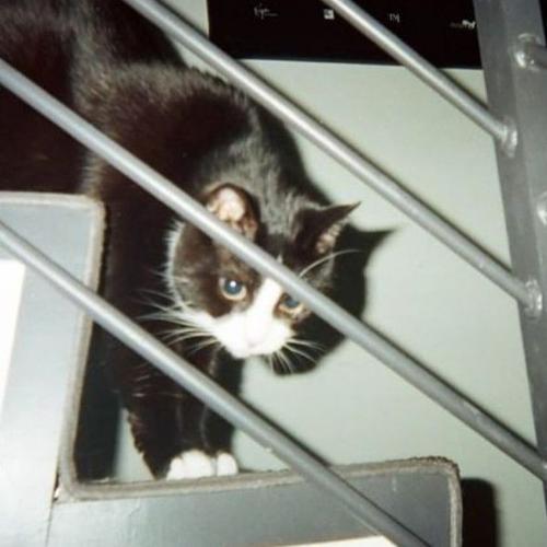 สมาชิกหมายเลข 7184146